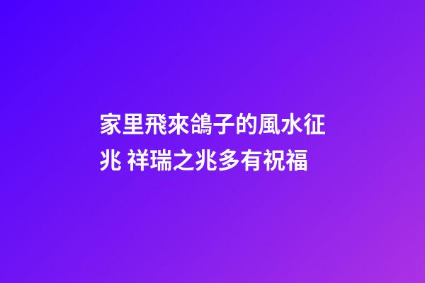 家里飛來鴿子的風水征兆 祥瑞之兆多有祝福